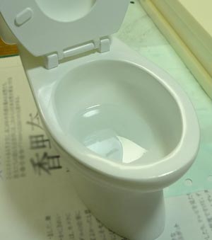 0914-toilet.jpg 300339 9K